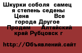 Шкурки соболя (самец) 1-я степень седены › Цена ­ 12 000 - Все города Другое » Продам   . Алтайский край,Рубцовск г.